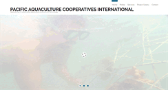 Desktop Screenshot of pacinternational.org